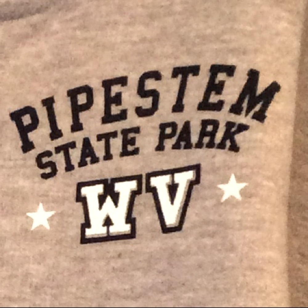 Gray Toddler Hoodie, Pipestem State Park, WV, NWT
